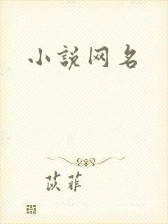 小说网名