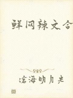 鲜网辣文合集