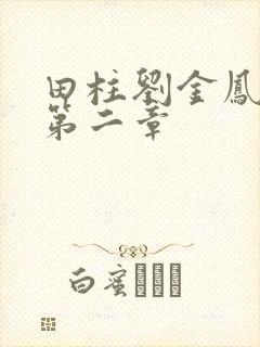 田柱刘金凤小说第二章