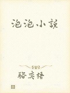 泡泡小说封面