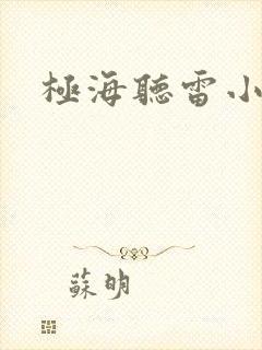 极海听雷小说封面