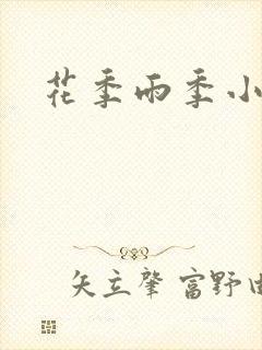 花季雨季小说