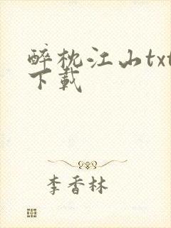 醉枕江山txt下载封面