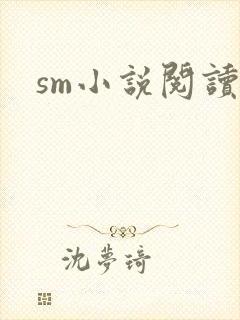sm小说阅读