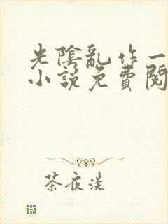光阴乱作一团的小说免费阅读