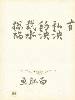 总裁的私有宝贝祸水泱泱