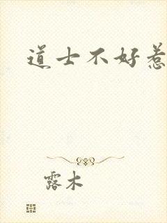 道士不好惹小说