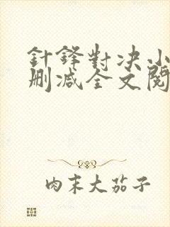 针锋对决小说未删减全文阅读