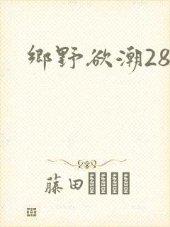 乡野欲潮28章