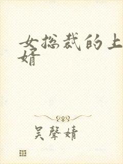 女总裁的上门女婿