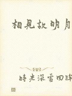 相见故明月