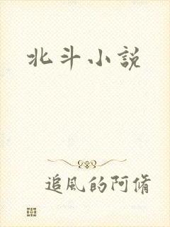 北斗小说