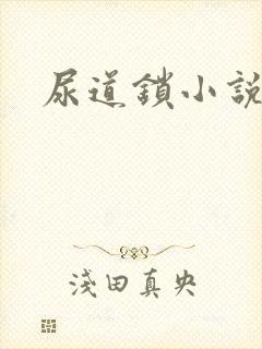尿道锁小说封面
