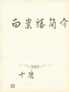 白崇禧简介封面