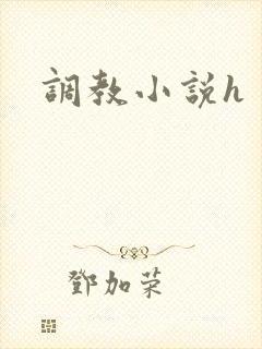 调教小说h封面