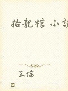 抬龙棺 小说封面