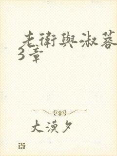 老卫与淑蓉第13章封面