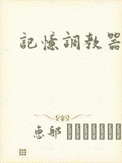 记忆调教器
