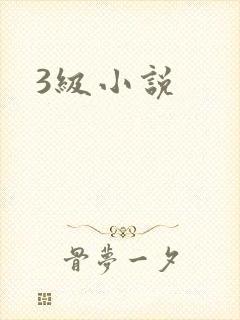 3级小说
