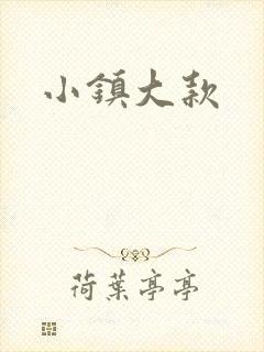 小镇大款