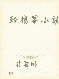 干杨幂小说封面