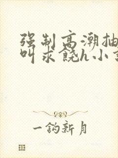 强制高潮抽搐哭叫求饶h小说封面