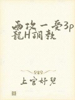 两攻一受3p双龙H调教
