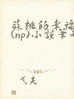 苏桃的幸福生活(np)小说笔趣阁沐沐