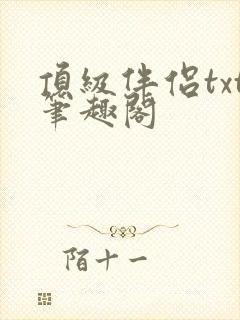 顶级伴侣txt笔趣阁
