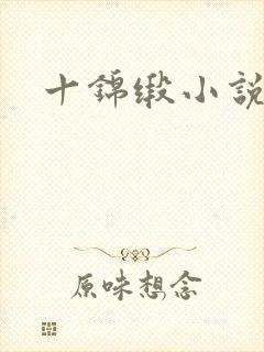 十锦缎小说