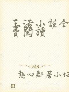 王浩小说全文免费阅读封面