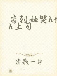 脔到她哭h粗话h上司封面
