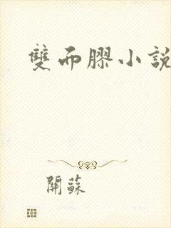 双面胶小说