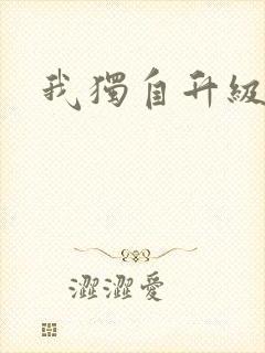 我独自升级小说封面