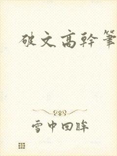 破文高干笔趣阁