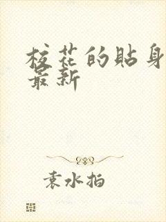 校花的贴身高手最新