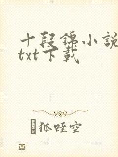 十段锦小说全本txt下载