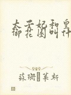太子妃和皇帝在御花园叫什么小说