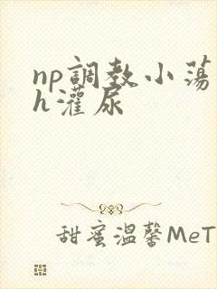 np调教小荡货h灌尿封面