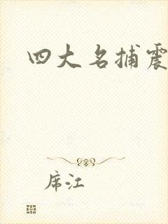四大名捕震关东
