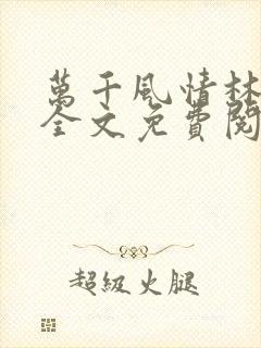 万千风情林小涛全文免费阅读