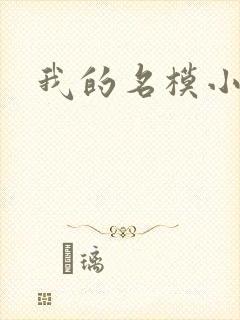 我的名模小娇妻