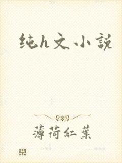纯h文小说封面
