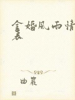 金婚风雨情演员表封面