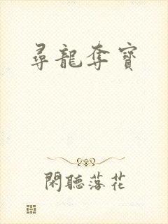 寻龙夺宝