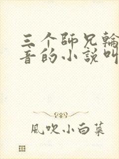 三个师兄轮流上音的小说叫什么