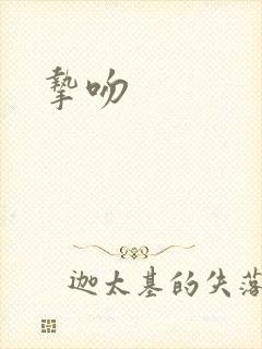 挚吻