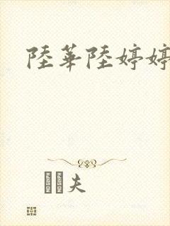 陆华陆婷婷封面