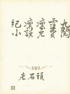 纪凛凛霍九霖的小说免费阅读在线