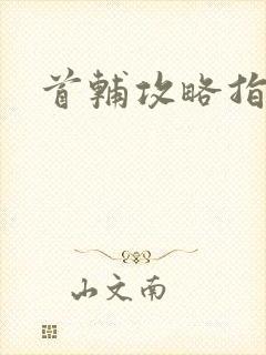 首辅攻略指南